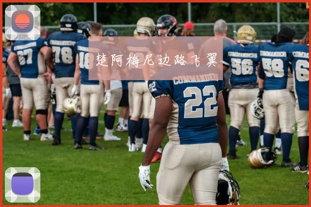 楚阿梅尼边路飞翼