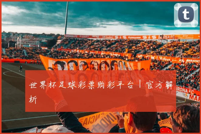 世界杯足球彩票购彩平台｜官方解析