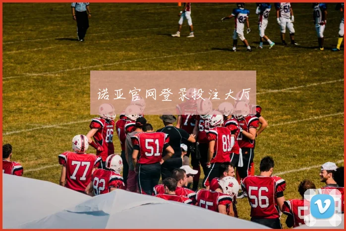 诺亚官网登录投注大厅