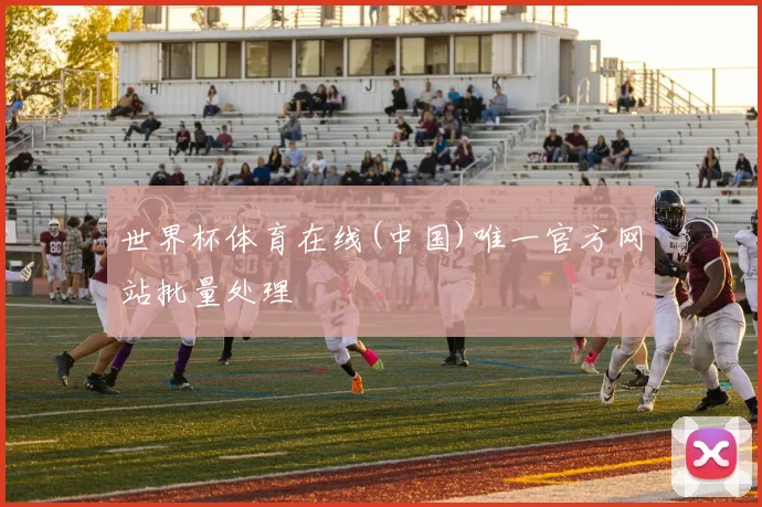 世界杯体育在线(中国)唯一官方网站批量处理