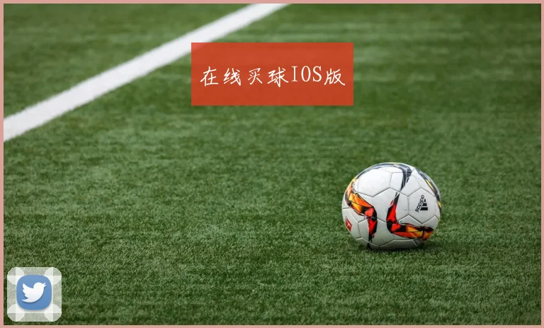 在线买球IOS版