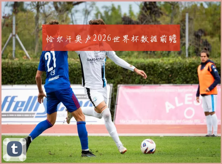 恰尔汗奥卢2026世界杯数据前瞻