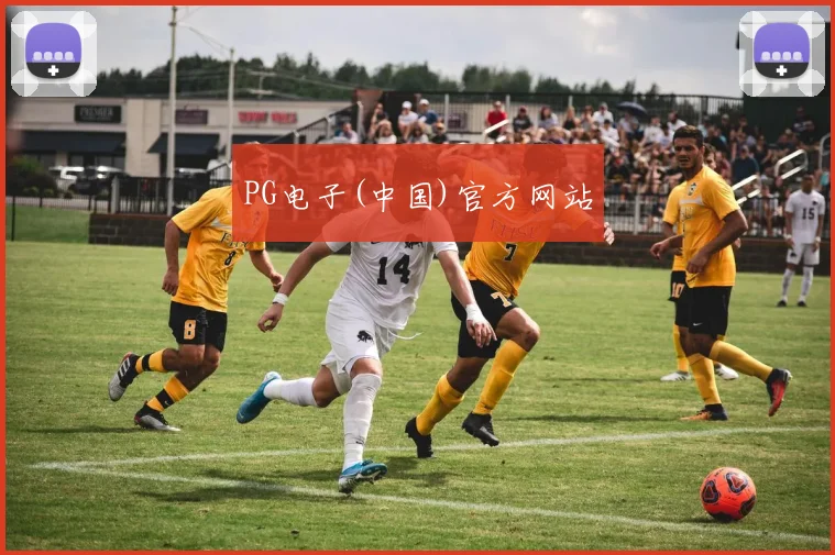 PG电子(中国)官方网站