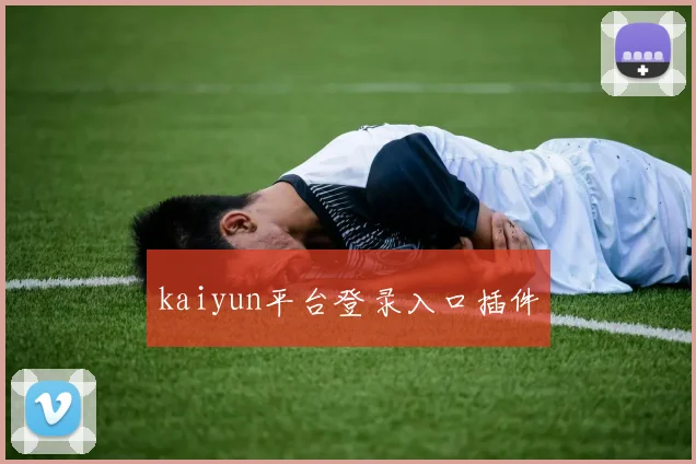 kaiyun平台登录入口插件