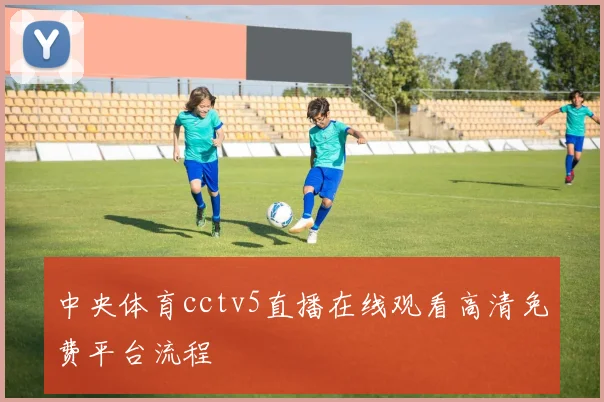 中央体育cctv5直播在线观看高清免费平台流程