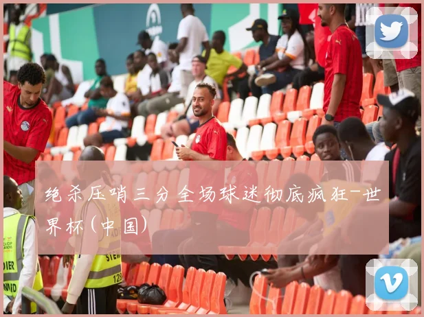 绝杀压哨三分全场球迷彻底疯狂-世界杯(中国)