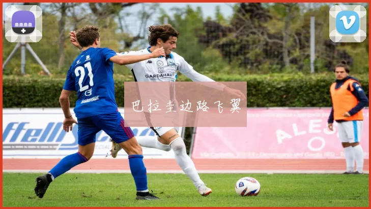 巴拉圭边路飞翼