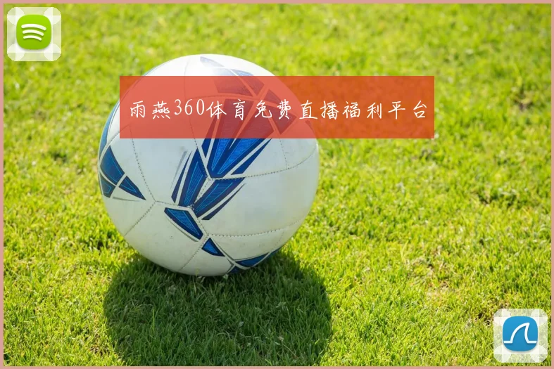 雨燕360体育免费直播福利平台