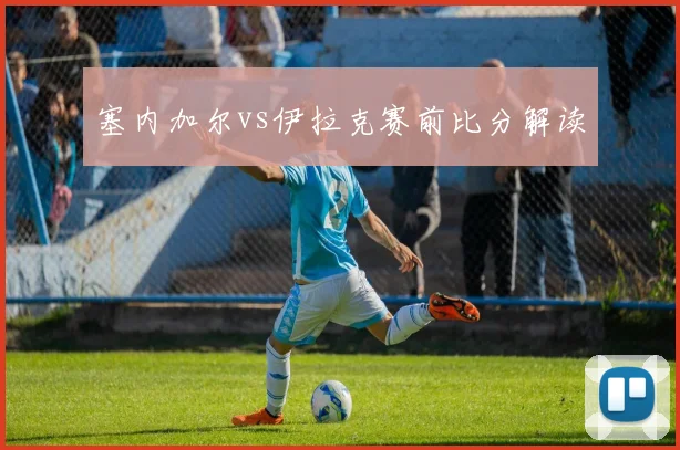 塞内加尔vs伊拉克赛前比分解读