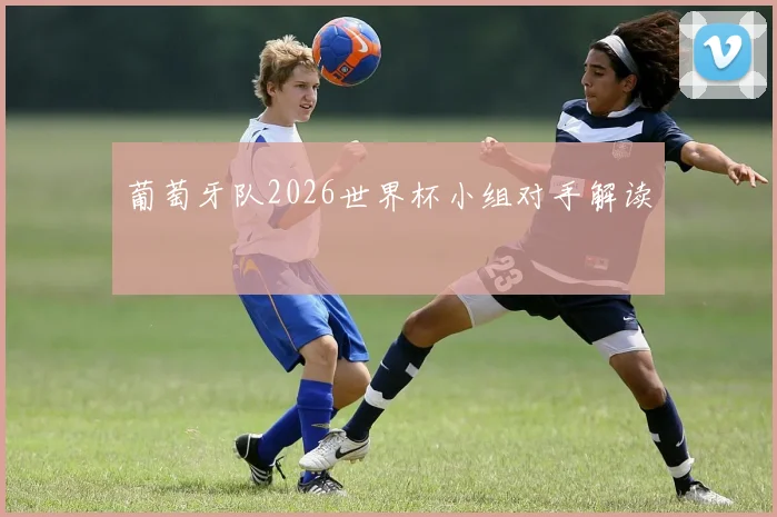 葡萄牙队2026世界杯小组对手解读