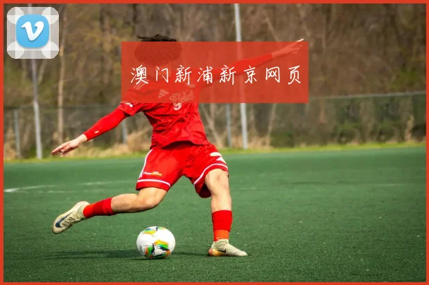 澳门新浦新京网页