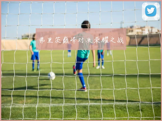 弗里茨巅峰对决荣耀之战