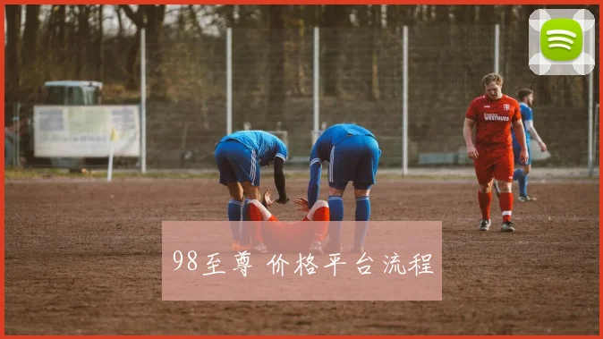 98至尊 价格平台流程