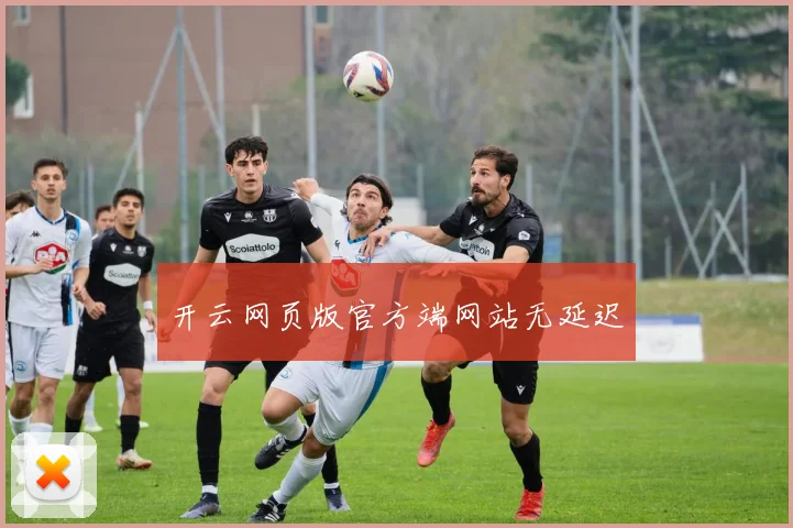 开云网页版官方端网站无延迟