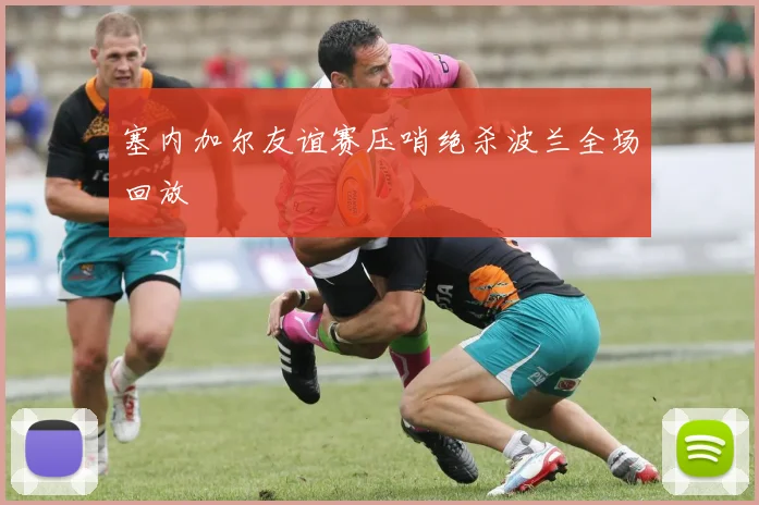 塞内加尔友谊赛压哨绝杀波兰全场回放