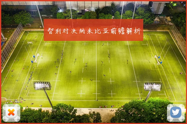 智利对决纳米比亚前瞻解析