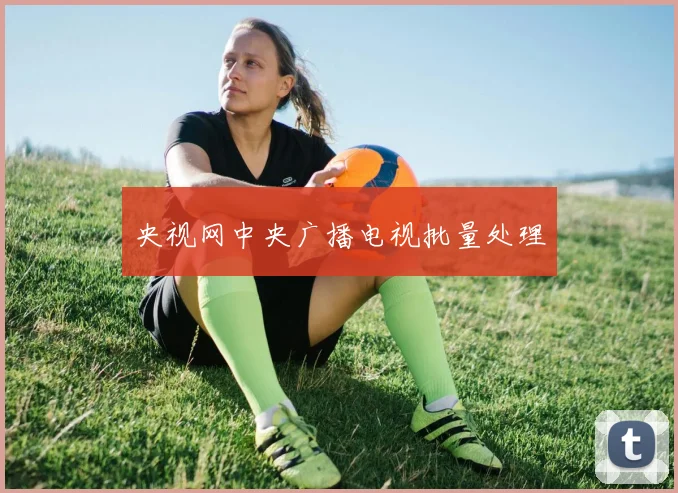 央视网中央广播电视批量处理