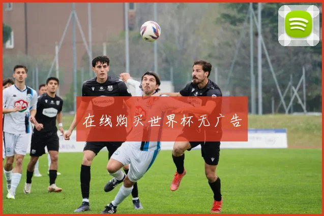 在线购买世界杯无广告