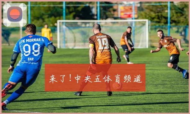 来了!中央五体育频道