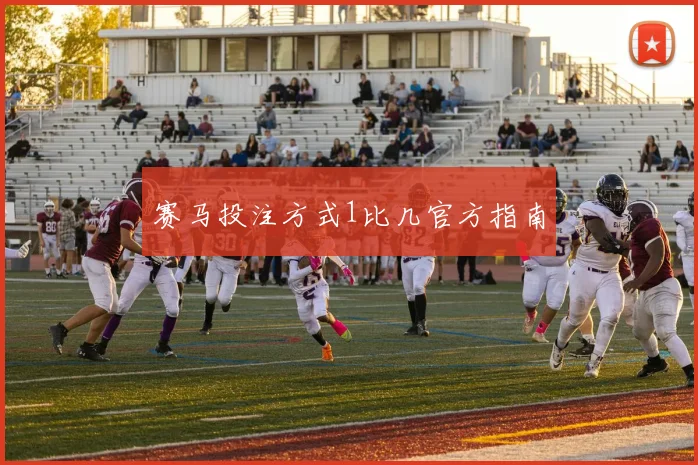 赛马投注方式1比几官方指南