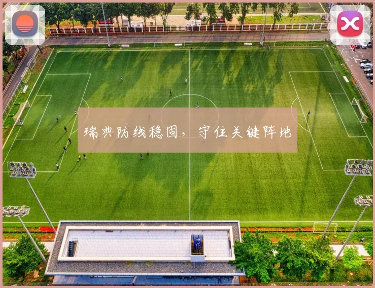 瑞典防线稳固，守住关键阵地