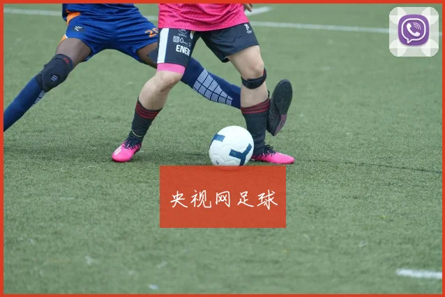 央视网足球