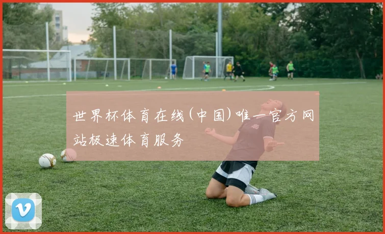 世界杯体育在线(中国)唯一官方网站极速体育服务