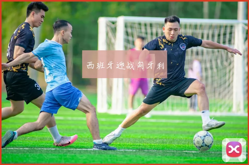 西班牙迎战匈牙利