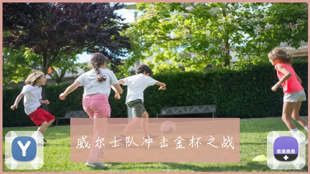 威尔士队冲击金杯之战