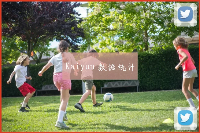 Kaiyun 数据统计
