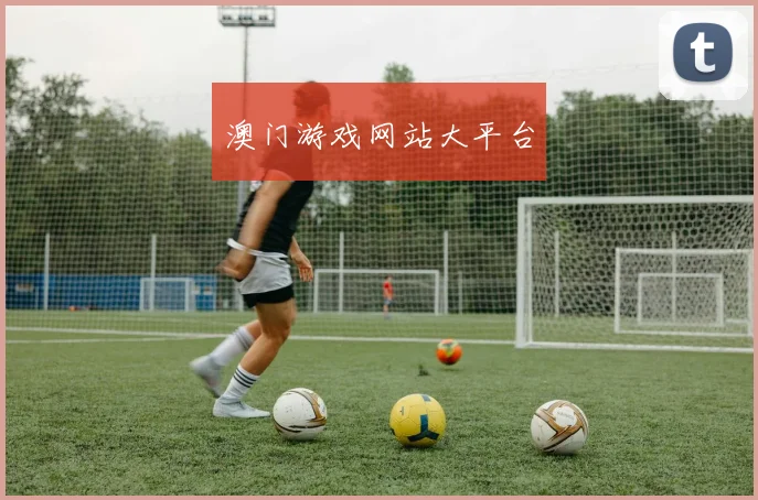 澳门游戏网站大平台