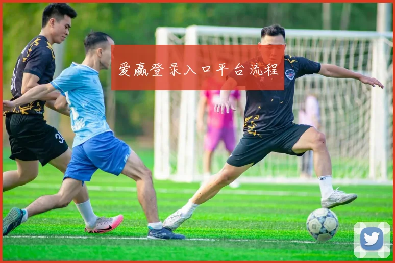 爱赢登录入口平台流程