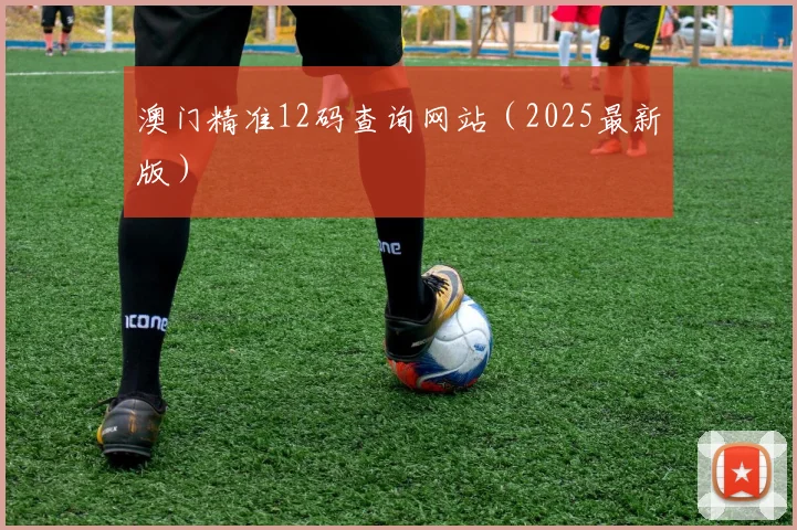 澳门精准12码查询网站（2025最新版）
