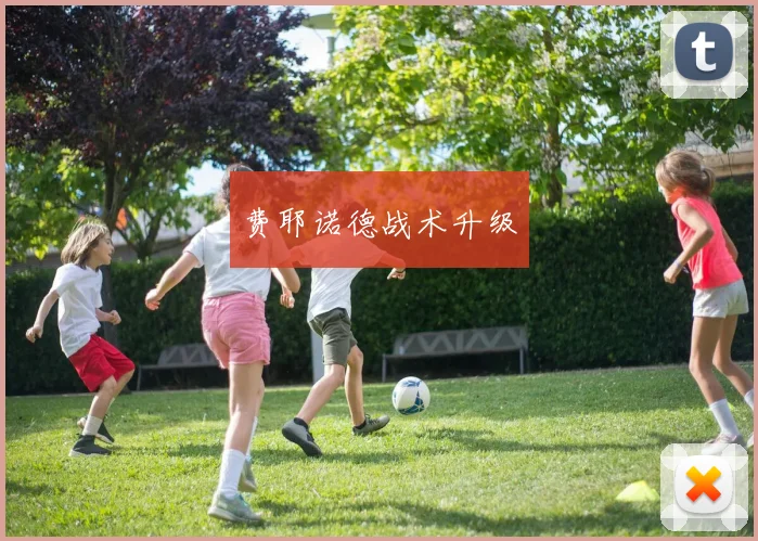 费耶诺德战术升级