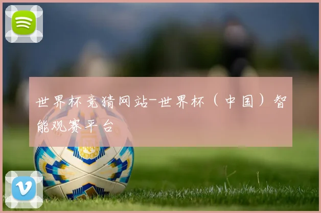 世界杯竞猜网站-世界杯（中国）智能观赛平台
