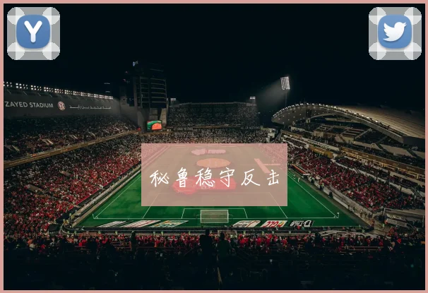 秘鲁稳守反击