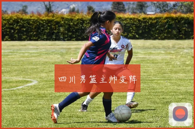 四川男篮主帅变阵