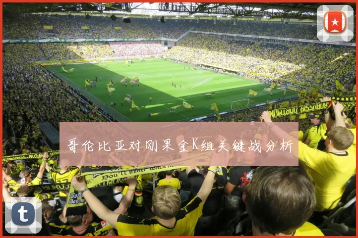 哥伦比亚对刚果金K组关键战分析