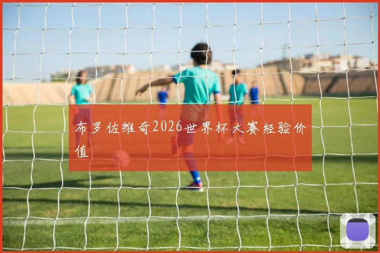 布罗佐维奇2026世界杯大赛经验价值