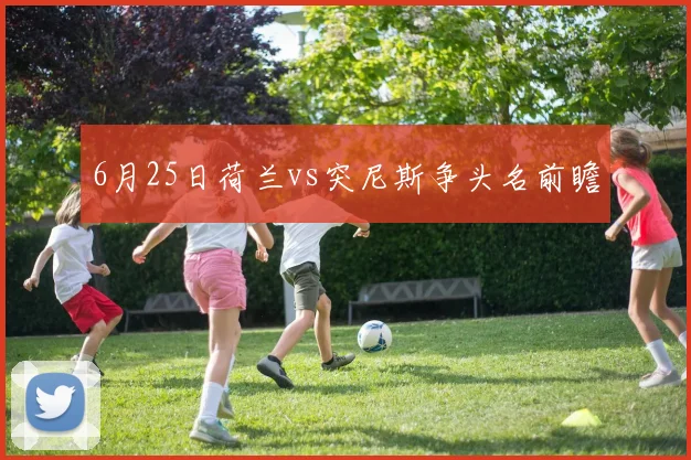 6月25日荷兰vs突尼斯争头名前瞻