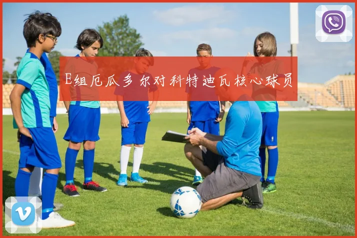 E组厄瓜多尔对科特迪瓦核心球员